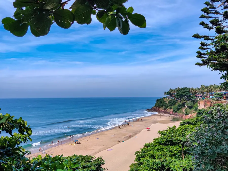 Plage et mer bleue aperçues à travers la végétation